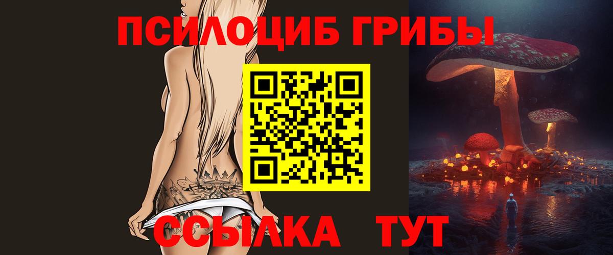 Галлюциногенные грибы ЛСД  где найти   Тайшет  Вход с VPN  Галлюциногенные грибы мицелий 